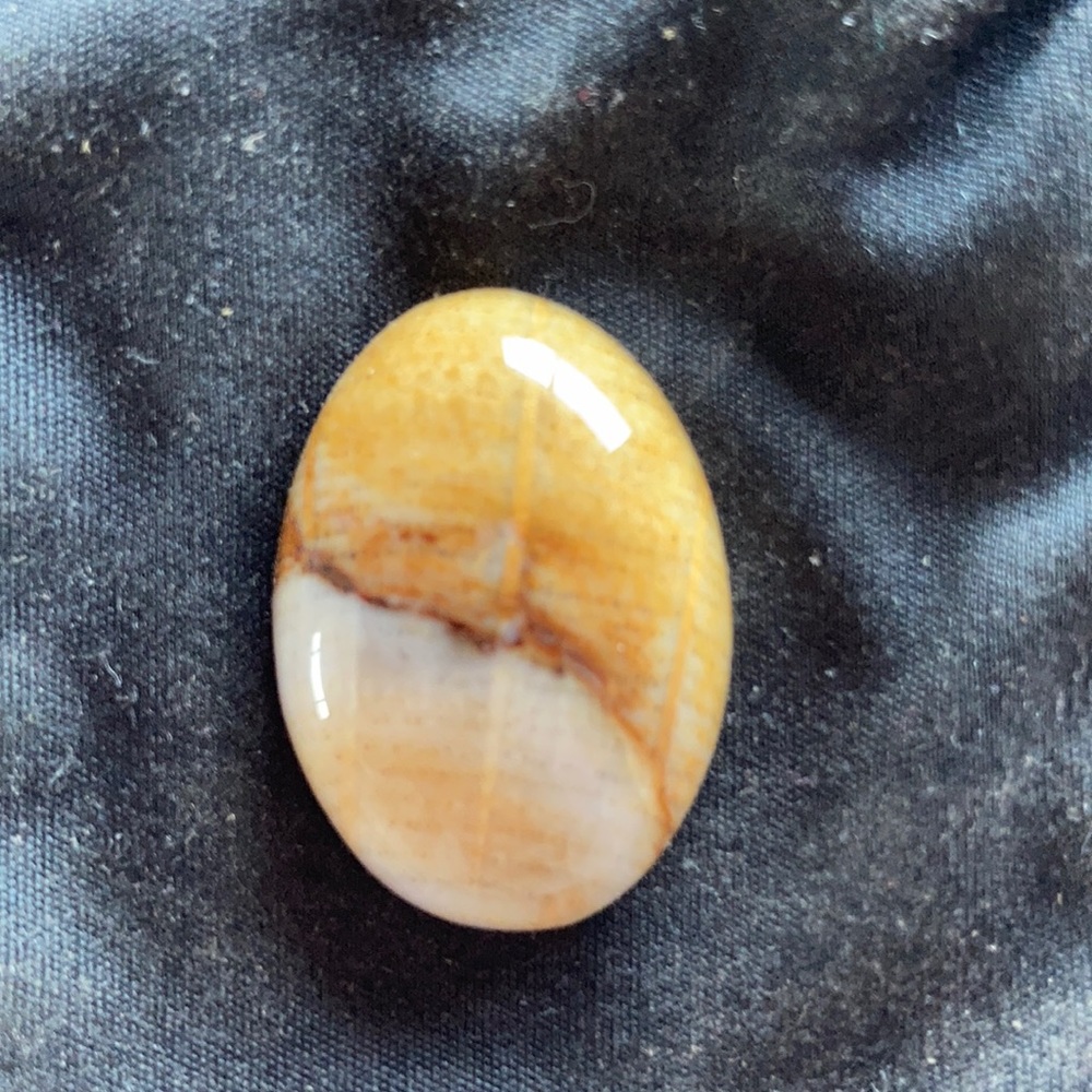 Cabochon petrified wood
